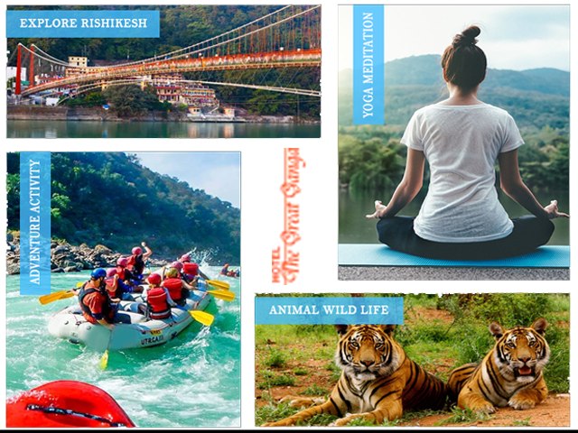 Apollo Hospitals Image