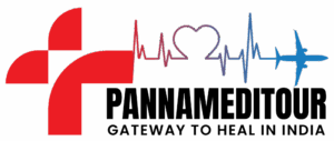 Panna Medi Tour logo � medical tourism in India