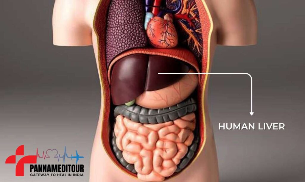 A Complete Guide to Symptoms & Treatment